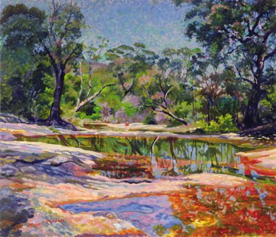 Wirreanda Creek, New South Wales, Australien von Robert Tyndall